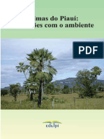 Climas do Piauí - Interações com o ambiente