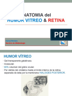Anatomia Del Humor Vitreo y La Retina
