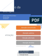 Avaliação Da Atenção - Grupo de Estudos