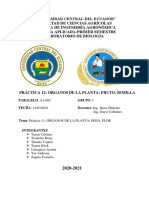 Práctica 12 Órganos de La Planta Fruto-Semilla