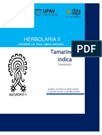 Herbolario II: Tamarindo (Tamarindus indica