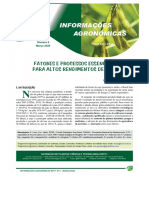 Jornal Informações Agronômicas n52020