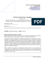 Análisis de agregados para concreto