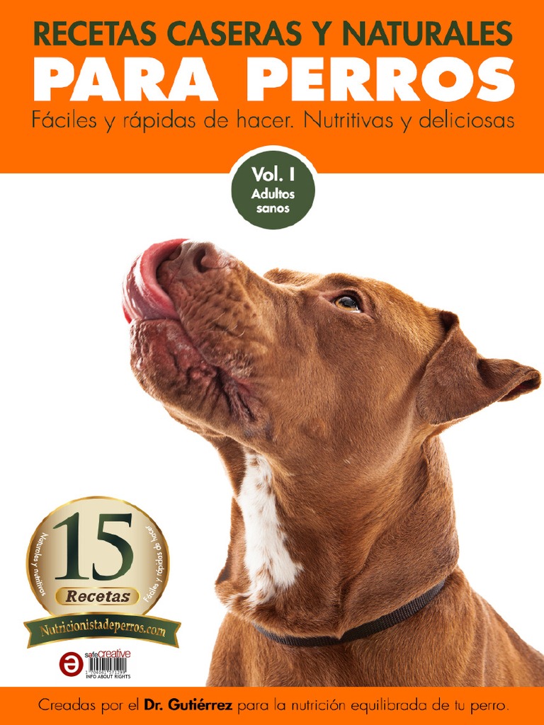 Recetas Naturales para Perros | PDF | Huevo como alimento | Alimentos