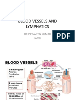 Blood Vessels and Lymphatics