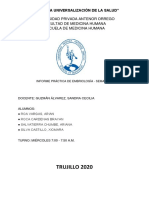 Informe Morfofisilogía I - Semana 11