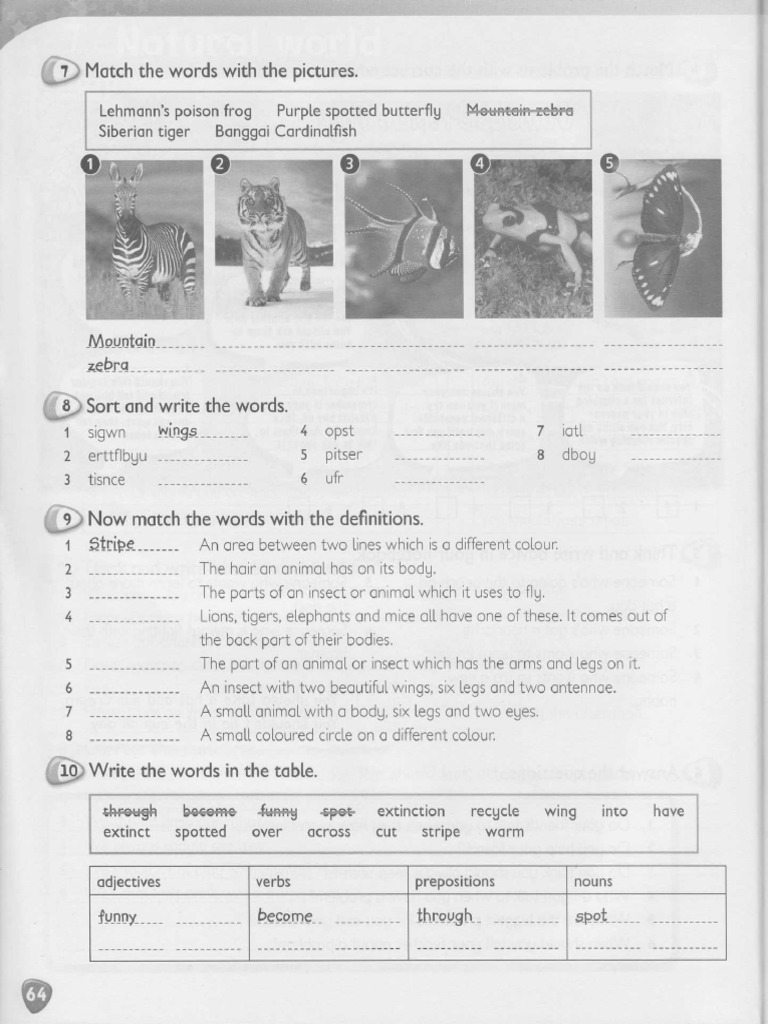 Sports Equipment Quiz 2 PDF