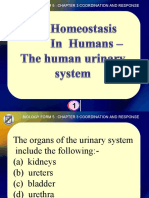 Biology Form 5 Chapter 3 Coordination and Response Organs