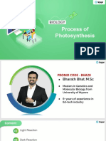 Process of Photosynthesis