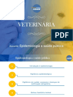 Aula 01 - Introdução à Epidemiologia - 20 07 2021