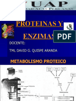Clase 3. Proteinas