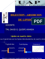 Clase 7 . Digestion- Absorcion d Elipidos