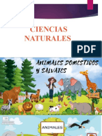 ANIMALES SALVAJE Y DOMESTICOS