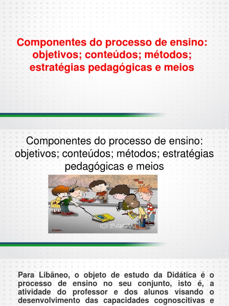 Componentes do Processo de Ensino | PDF | Aprendizado | Sociologia