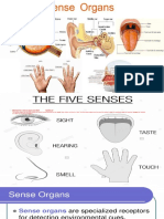 Sense Organ