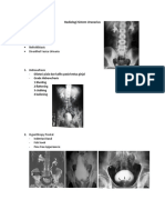 Radiologi Sistem Uranarius