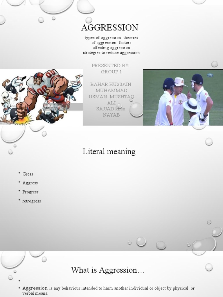 Understanding Aggression: Types and Theories | PDF | Instinct | Aggression