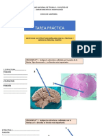 Tarea. 2 Práctica