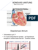 Sistem Konduksi Jantung