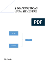 BASES DIAGNOSTICAS EN FAUNA SILVESTRE