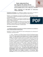 Pleno Jurisdiccional Civil 2019 Ica (1)