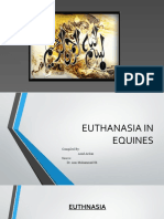 17 Euthanasia (2)