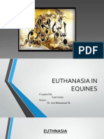 17 Euthanasia