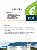 Snga - Sinefa