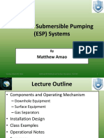 Presentation - (ESP) Systems - By Mattew Amao
