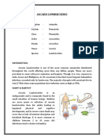 Ascaris Lumbricoides: Systematic Position