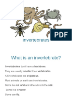 Invertebrates