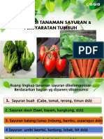 Identifikasi Tanaman Sayuran & Persyaratan Tumbuh