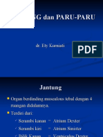 JANTUNG Dan PARU-PARU