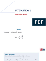 14-PPT - Límites Infinitos