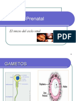 Principio de La Vida PPT TSpsicologia Del Desarrollo