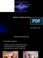 Cardiovascular 1