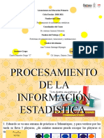 Procesamiento de La Información Estadistica. Diapostivas.