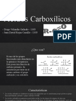 Ácidos Carboxílicos - Grupo #2