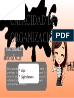 Capacidad de Organización