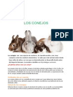 Los Conejos (Texto Expositivos)