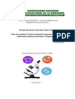 Documento Sin Título