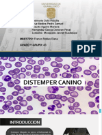 Distemper Canino Presentacion