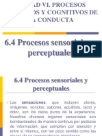 Procesos Sensoriales y Perceptuales