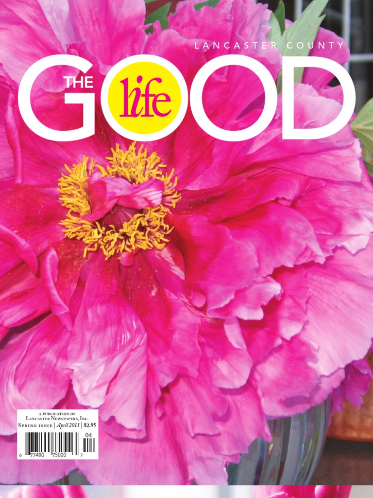 arizona relaxed jeans