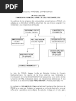 Bion - Material M Barcia