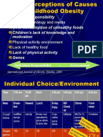 Childhood Obesity Presentation Public Health