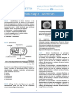 Microbiologia Bacterias