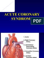 Sindroma Koroner Akut Baru - 32