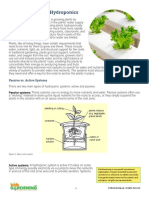 Gardening Basics - Hydroponics