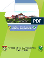 Profil Rsud 2020